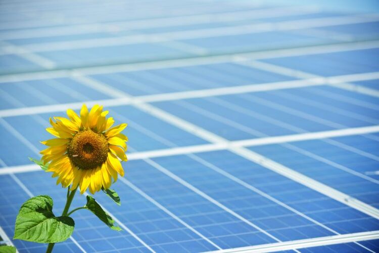 ηλιοτρόπιο και ηλιακά πάνελ για εξοικονόμηση ενέργειας